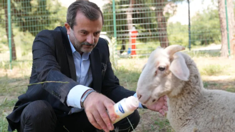 Gürsu'ya butik hayvanat bahçesi kazandırılıyor
