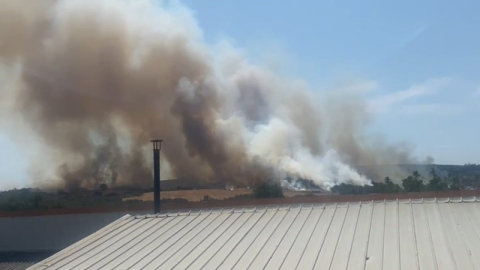 Nilüfer'de orman yangını