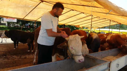 Ülke genelinde bütün hayvan pazarları kapatıldı