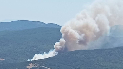Bursa’da orman yangını: Havadan ve karadan müdahale ediliyor