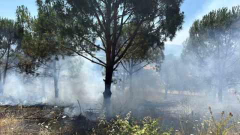 Bursa’daki yangın kontrol altına alındı