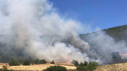 Yenişehir’de tarlada çıkan yangın ormana sıçradı