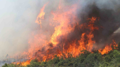 Harmancık'ta alevler tekrar yükseldi