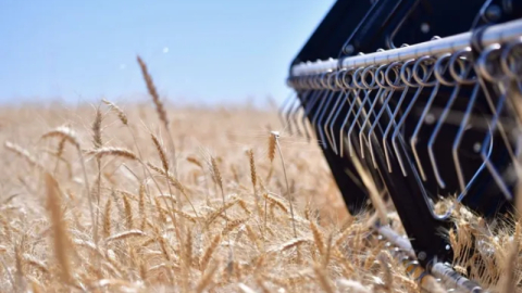 Bitkisel üretim desteklerinde değişiklik yapıldı