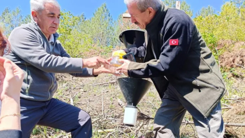Bursa’da kabuk böcekleriyle mücadele