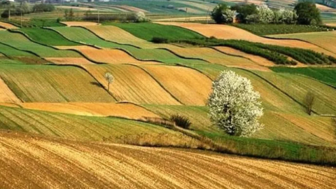 İki yıl ekilmeyen araziler devlet tarafından kiralanacak