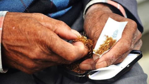 Her yıl milyonlarca kişi tütün nedeniyle hayatını kaybediyor