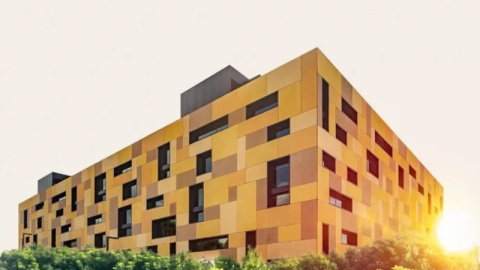 Türk Çam Balı artık coğrafi işaretli