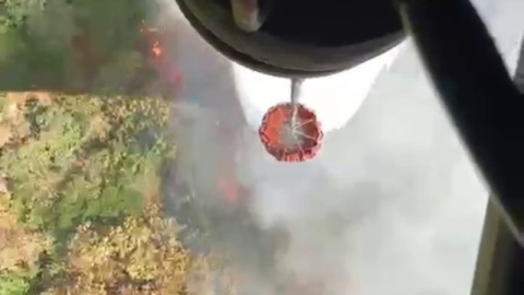 İznik’te orman yangını başladı, müdahale sürüyor