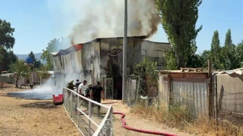 Nilüfer'de hayvan damı yandı, hayvanlar telef oldu