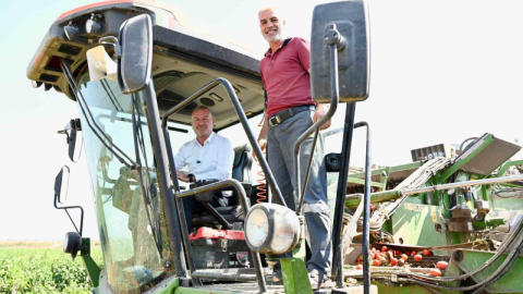 Domatesin başkenti Karacabey’de hasat sürüyor