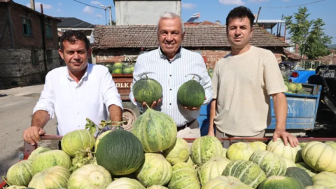 Nilüfer'de Konaklı kavununun üretimi iki kat arttı