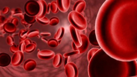 Çocuklarda anemi okul başarısını etkiliyor