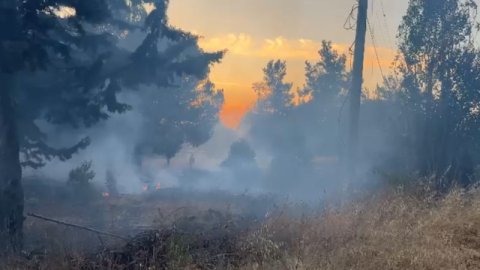Uludağ Üniversitesi'nde çıkan yangın kontrol altına alındı