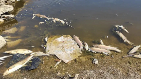 Yenişehir'de kuruyan derede yavru balıklara umut oldular