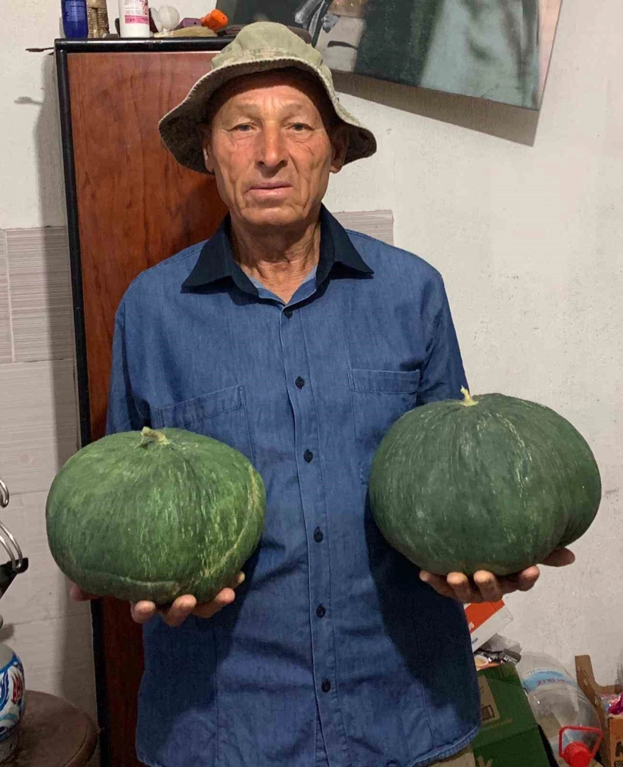 Dededen kalan tohumla 