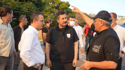 Yenişehir’de 100 hektarlık alan küle döndü