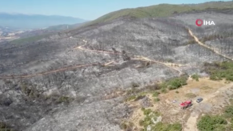 Yenişehir'de yanan ormandan geriye gri görüntü kaldı