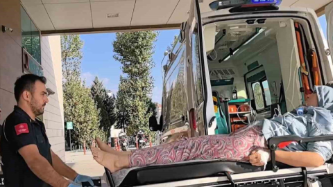 Hayvan çiftliğinde yangın çıktı