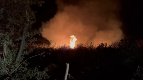 İznik’te korkutan yangın