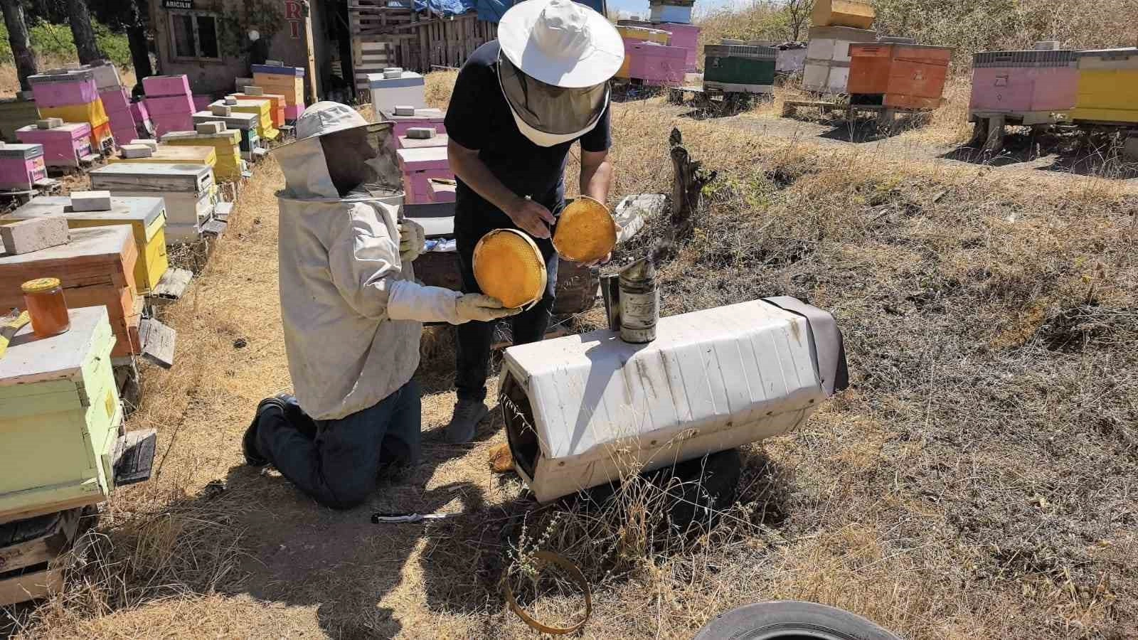 Bursa’da üretilen bu bal her derde deva
