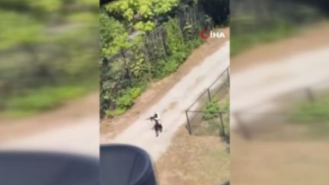 ABD'de üniversitede silahlı saldırgan paniği