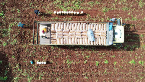 Ağustos en çok patatesi düşürdü.