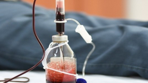 Hastalıklara karşı doğal kalkan