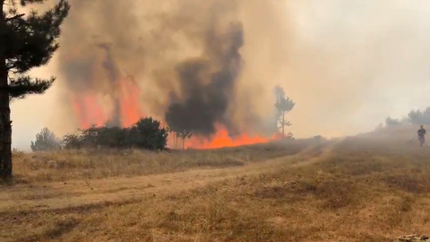 Orhaneli'de orman yangını