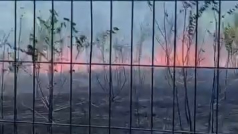 Ziraat meslek lisesinin bahçesi alevlere teslim oldu