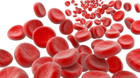 Demir eksikliği enfeksiyona kapı açıyor