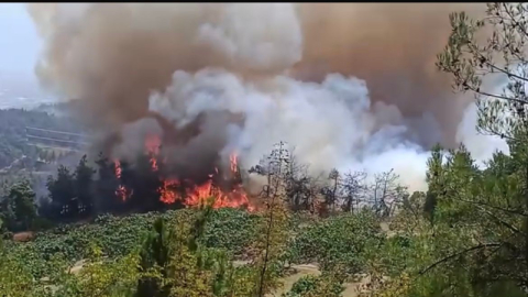 Gündoğdu'daki orman yangını büyüyor