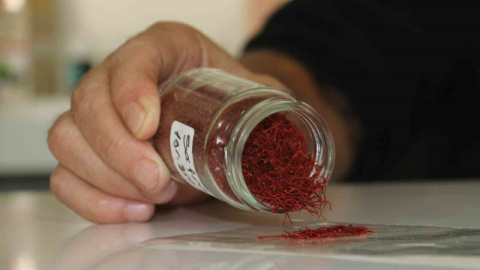 Kilosu 250 bin liradan satılıyordu sahtesini yaptılar