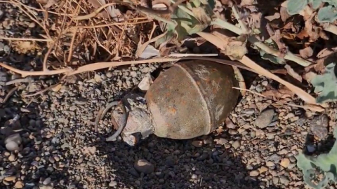 İznik Gölü kıyısında el bombası paniği