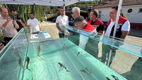 "Gramı 1 eurodan satılıyor"