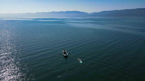 İznik Gölü’ndeki kuraklığa dikkat çekmek için gölü baştan başa yüzdü