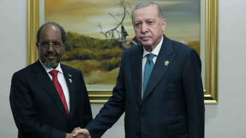 Cumhurbaşkanı Erdoğan, Somali Cumhurbaşkanı ile görüştü