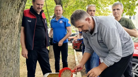 Bursa'nın su kaynaklarına 2,2 milyon sazan balığı bırakılacak
