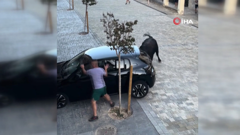 İspanya’da kızgın boğa park halindeki aracı parçaladı
