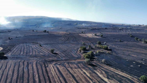 "Orman yangınlarına karşı topraktaki nem kapasitesini arttırmalıyız"