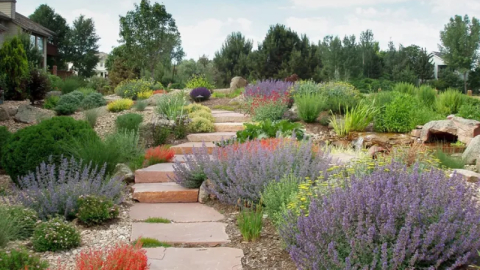 PEYZAJDER: Kuraklık peyzaj anlayışını değiştiriyor