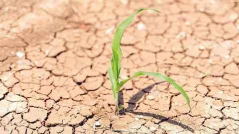 Prof. Dr. Yusuf Demir’den korkutan uyarı