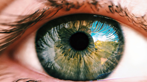 2040 yılına kadar 111 milyondan fazla kişiyi etkileyebilir