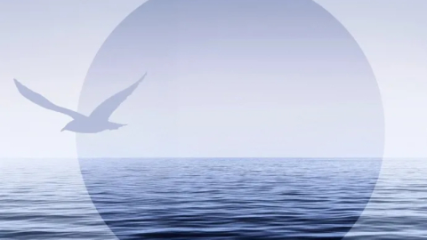 Mudanya 1. Fotoğraf Günleri başlıyor