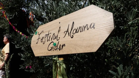 Gemlik Zeytini'nde uluslararası coşku