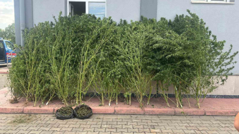 Bursa’da uyuşturucu operasyonu