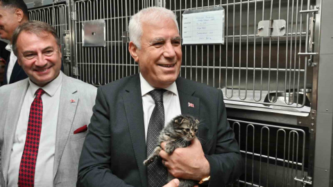 Büyükşehir’den can dostlara şefkat eli