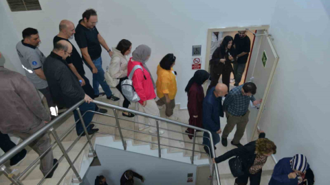 Piknik yaparken yılan ısırdı