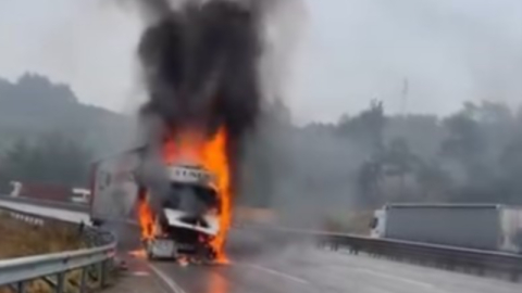 Seyir halindeki tır alev alev yandı