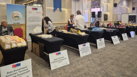 Kooperatiflere yeni hibe destekler geliyor...